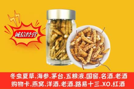 自贡市大安回收散虫草