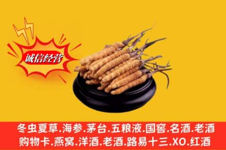 自贡市大安求购回收虫草多少钱每克